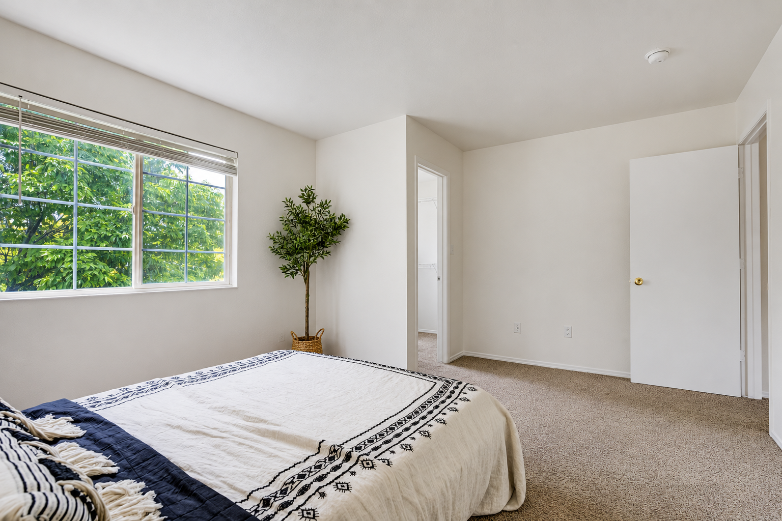 3743 Pronghorn Lane