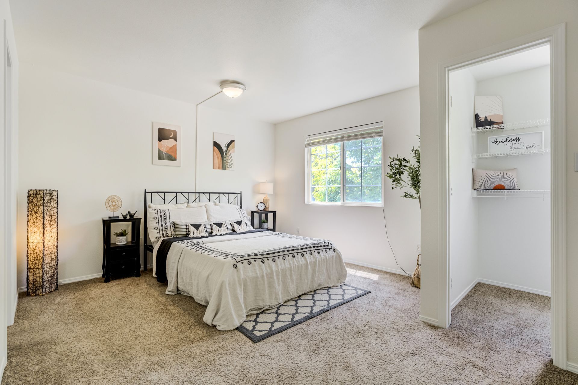 3743 Pronghorn Lane