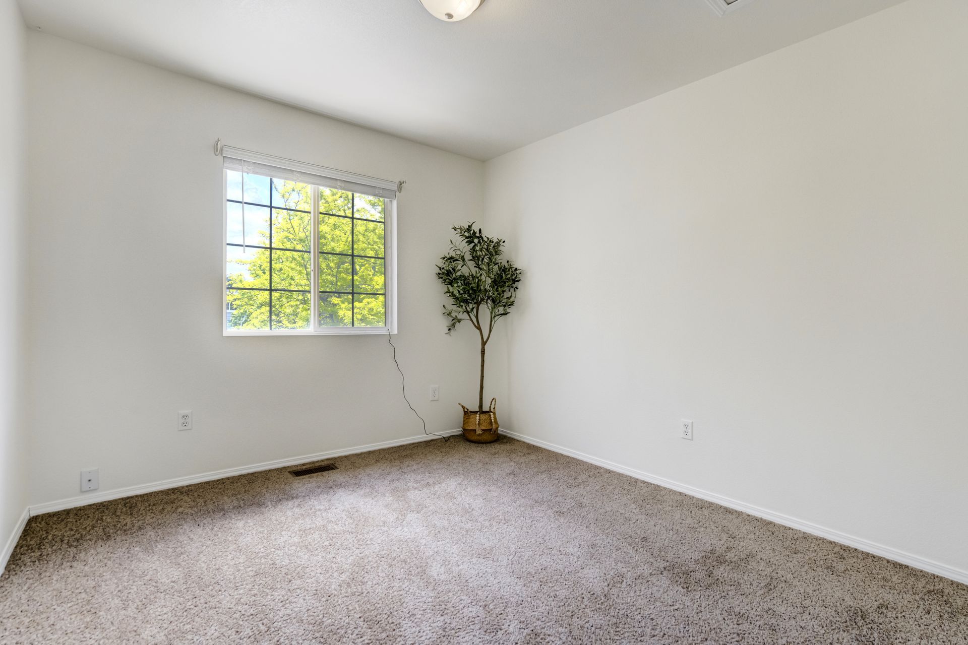 3743 Pronghorn Lane