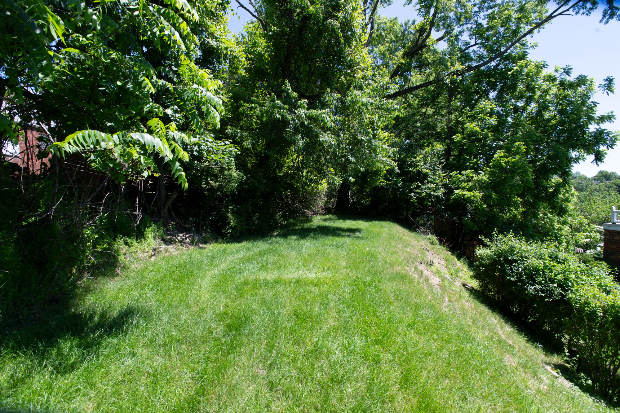 136 Colson Drive
