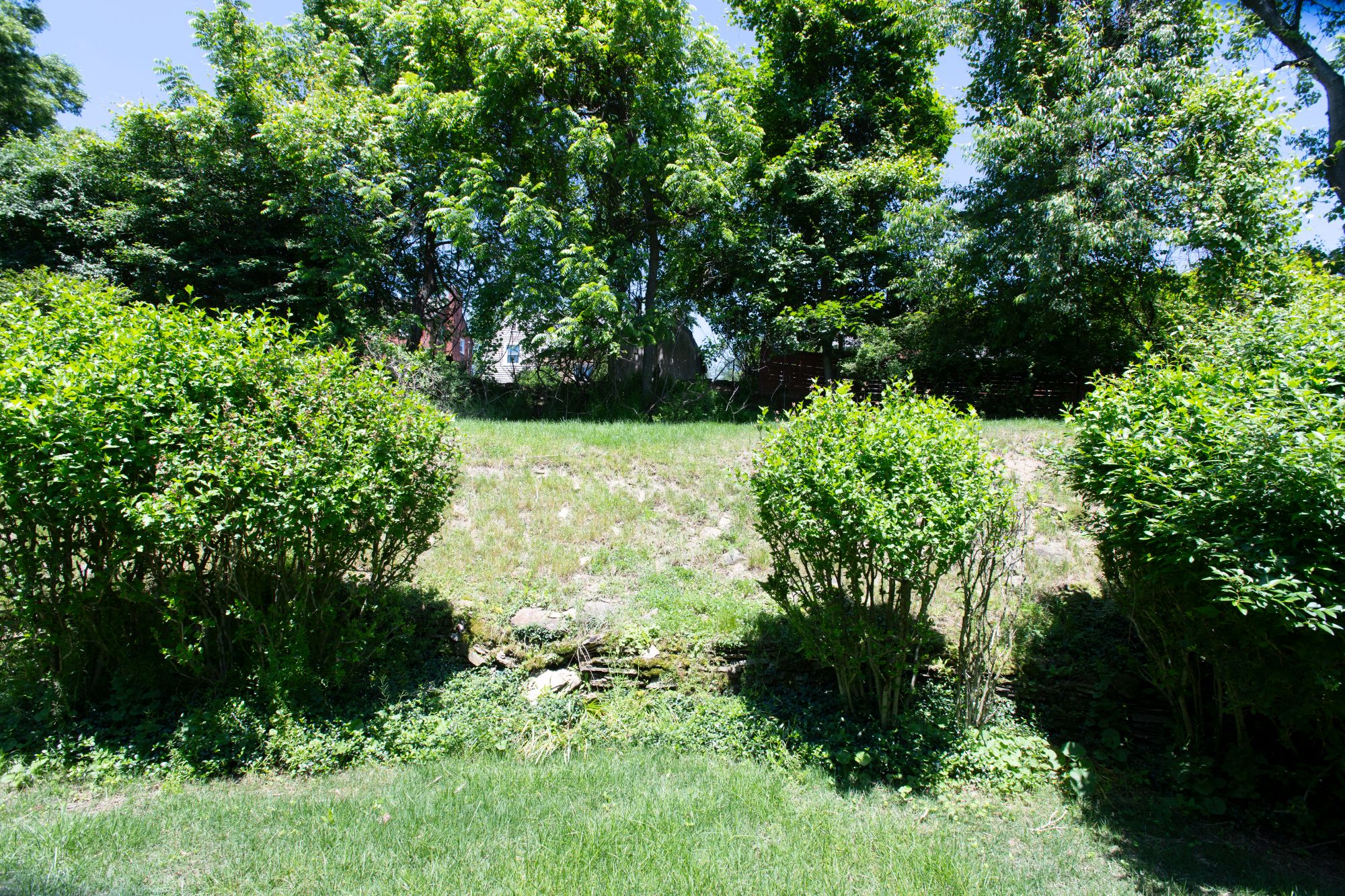 136 Colson Drive
