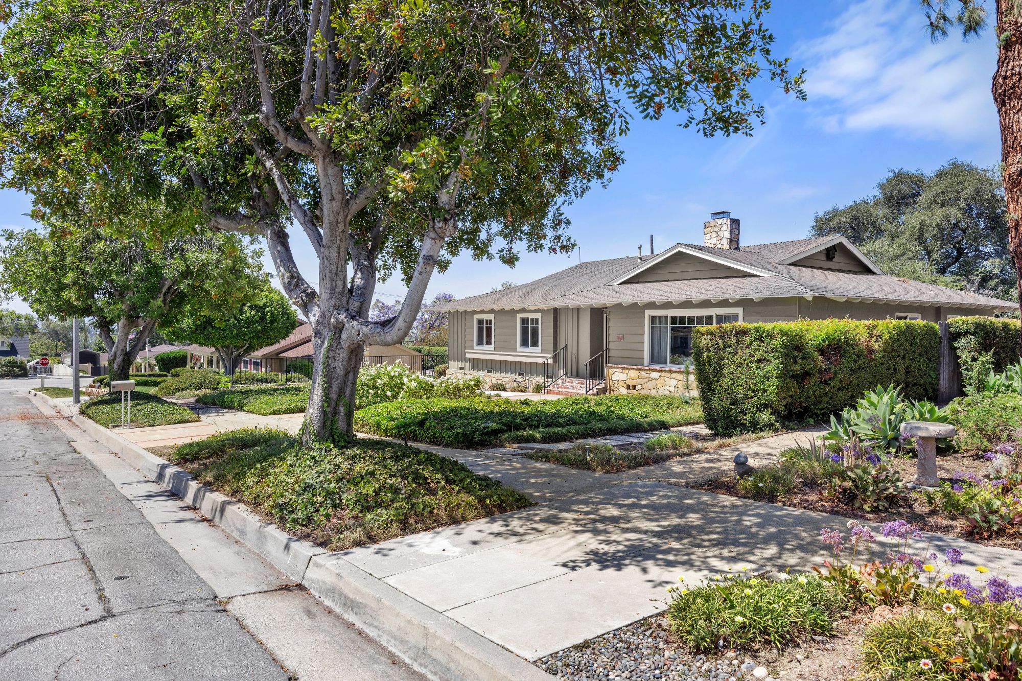 723 Rainbow Drive
