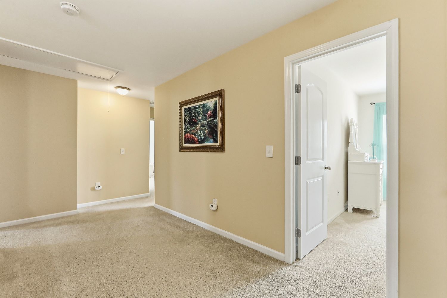 515 Alden Bridge Drive