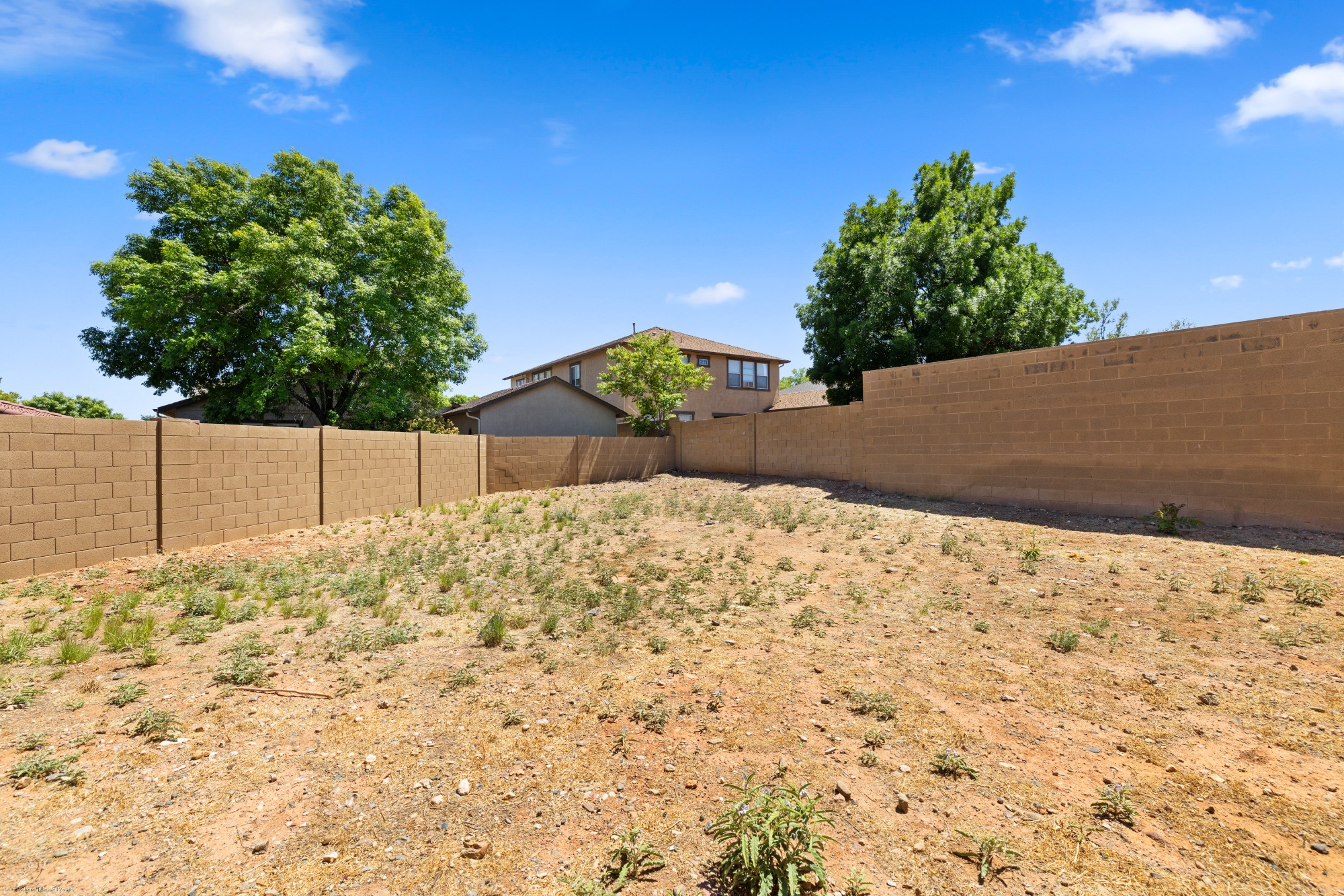 516 Chinaberry Drive