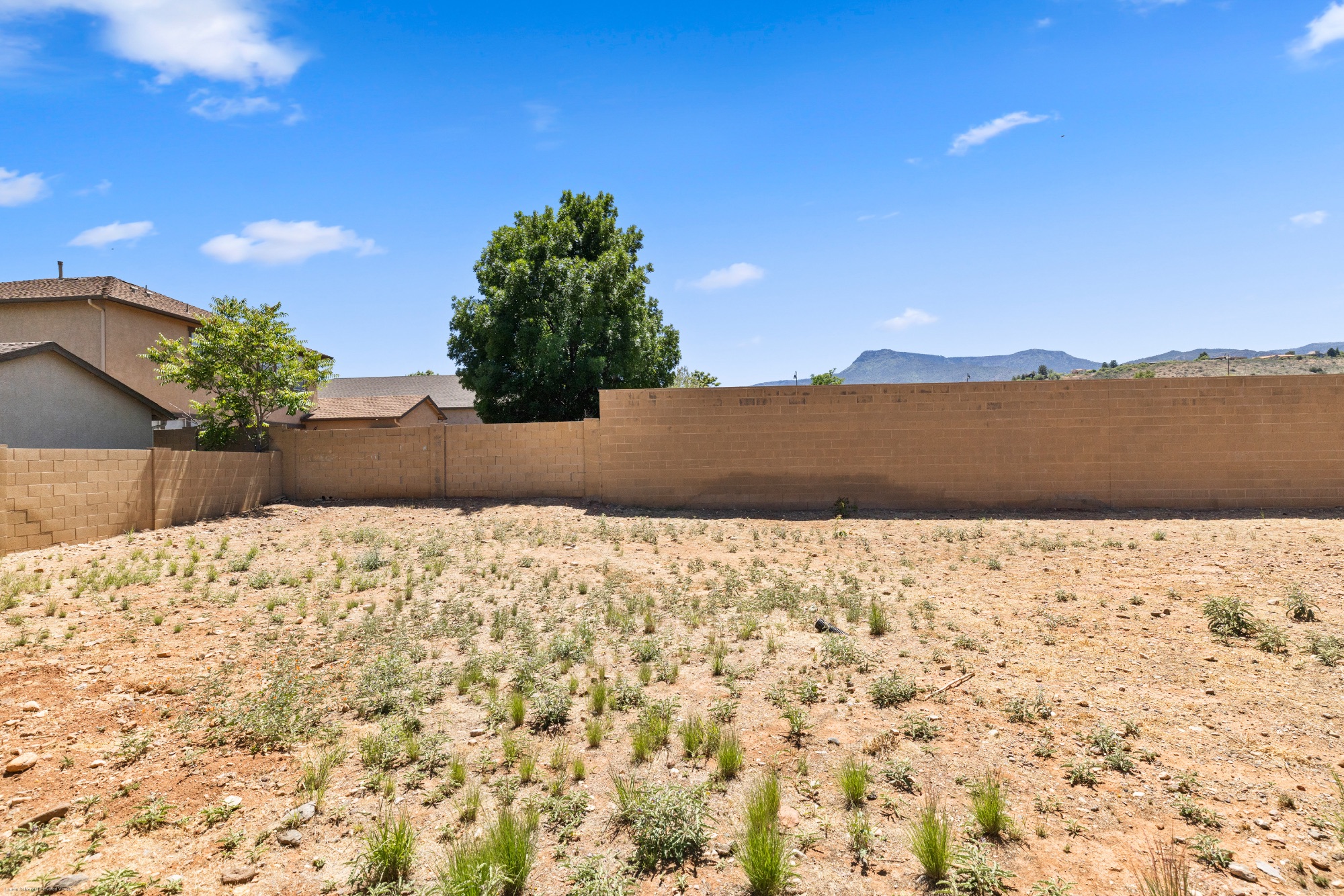 516 Chinaberry Drive