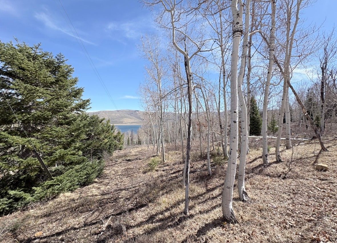 Lot 10 Scofield Mountain Homes Subdivision