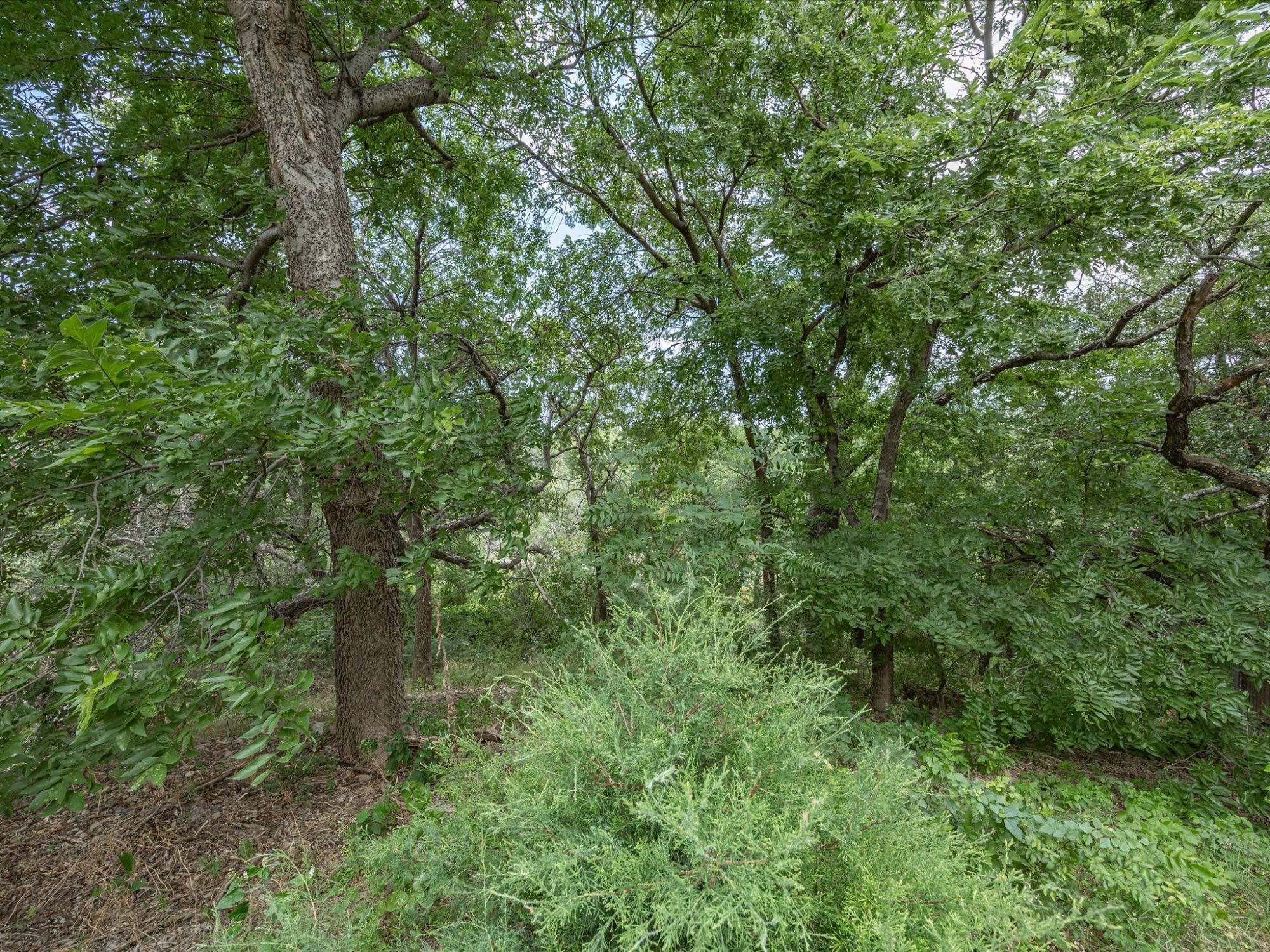 4008 Falcon Ridge Drive