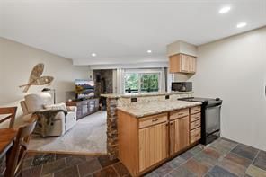 7317 Ryan Gulch Road #107
