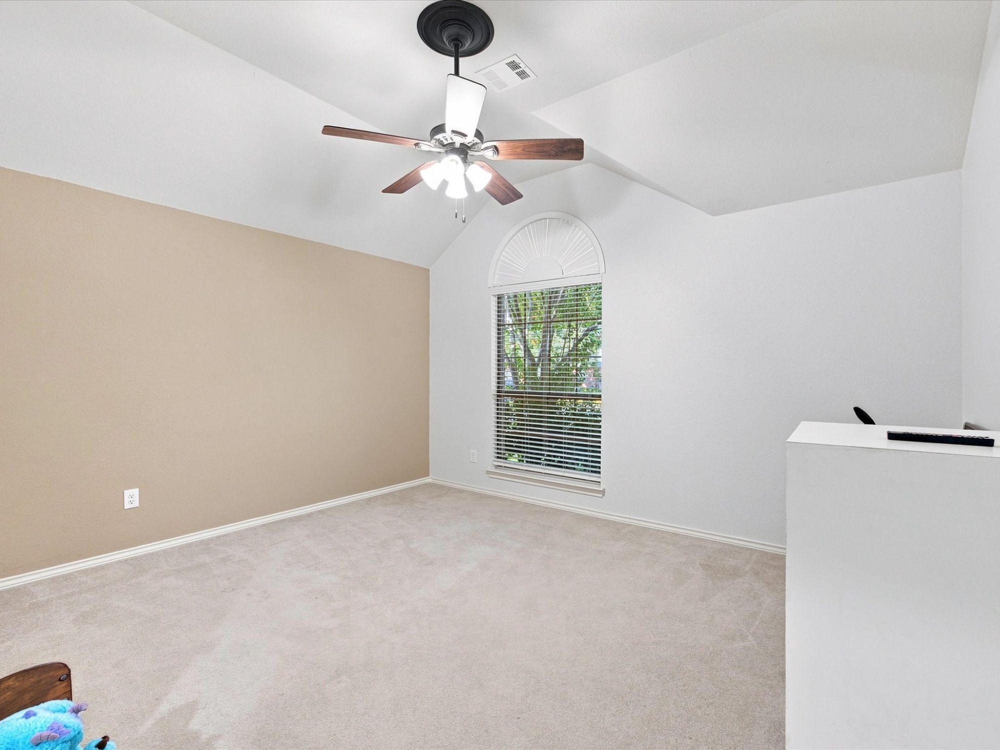 12334 Blue Ridge Drive