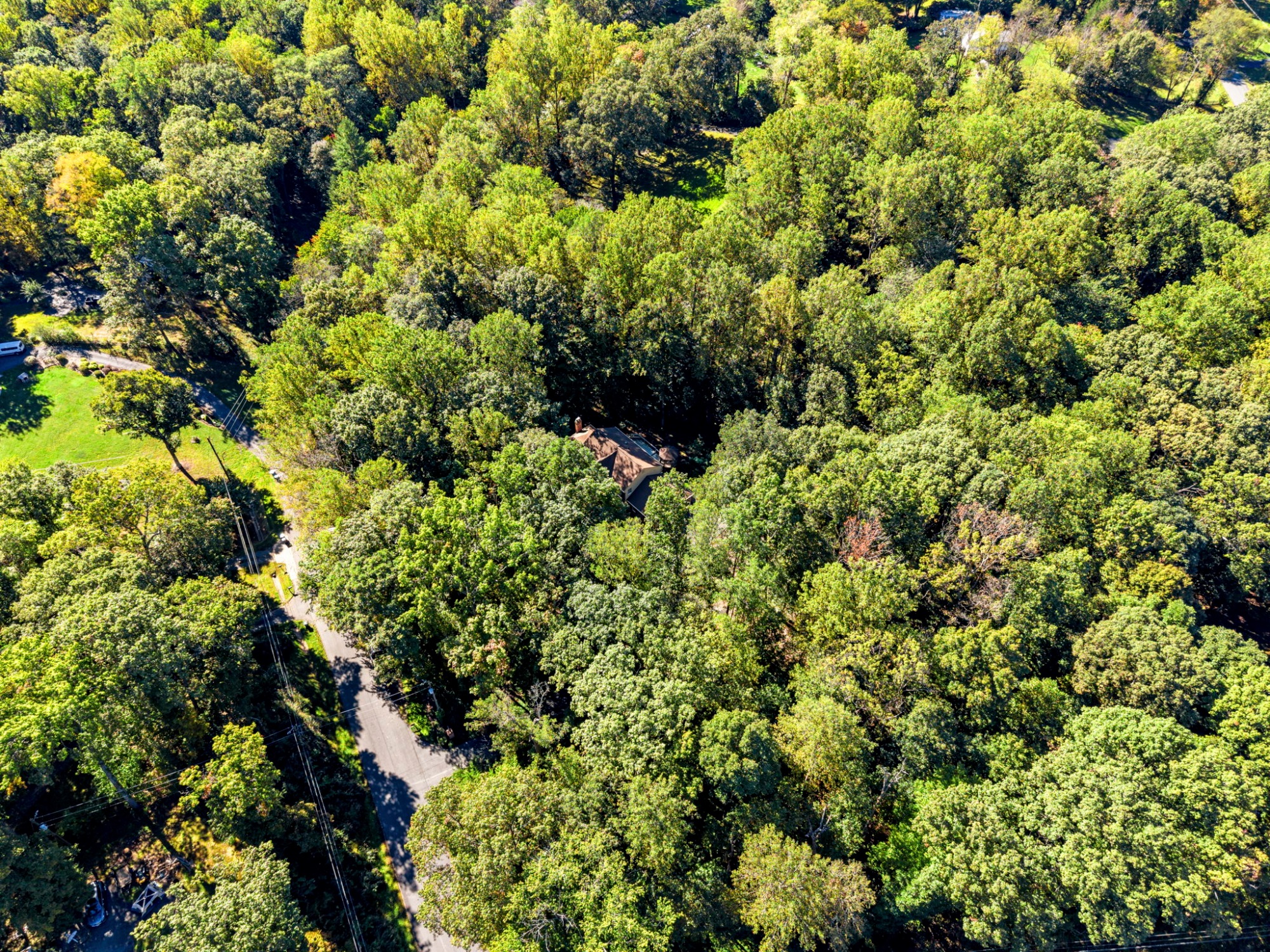 10600 Brentwood Drive