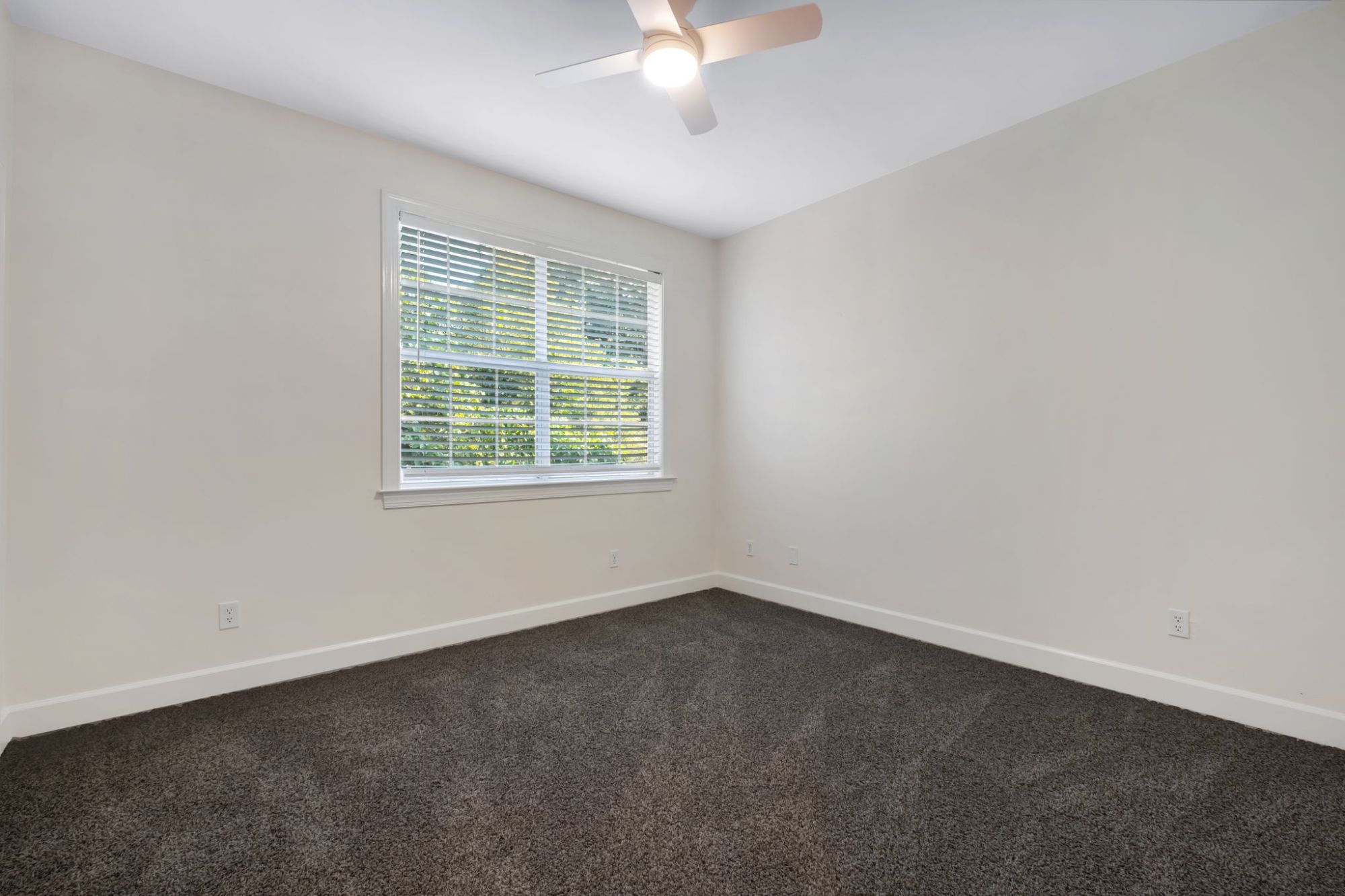 1123 Washington Court