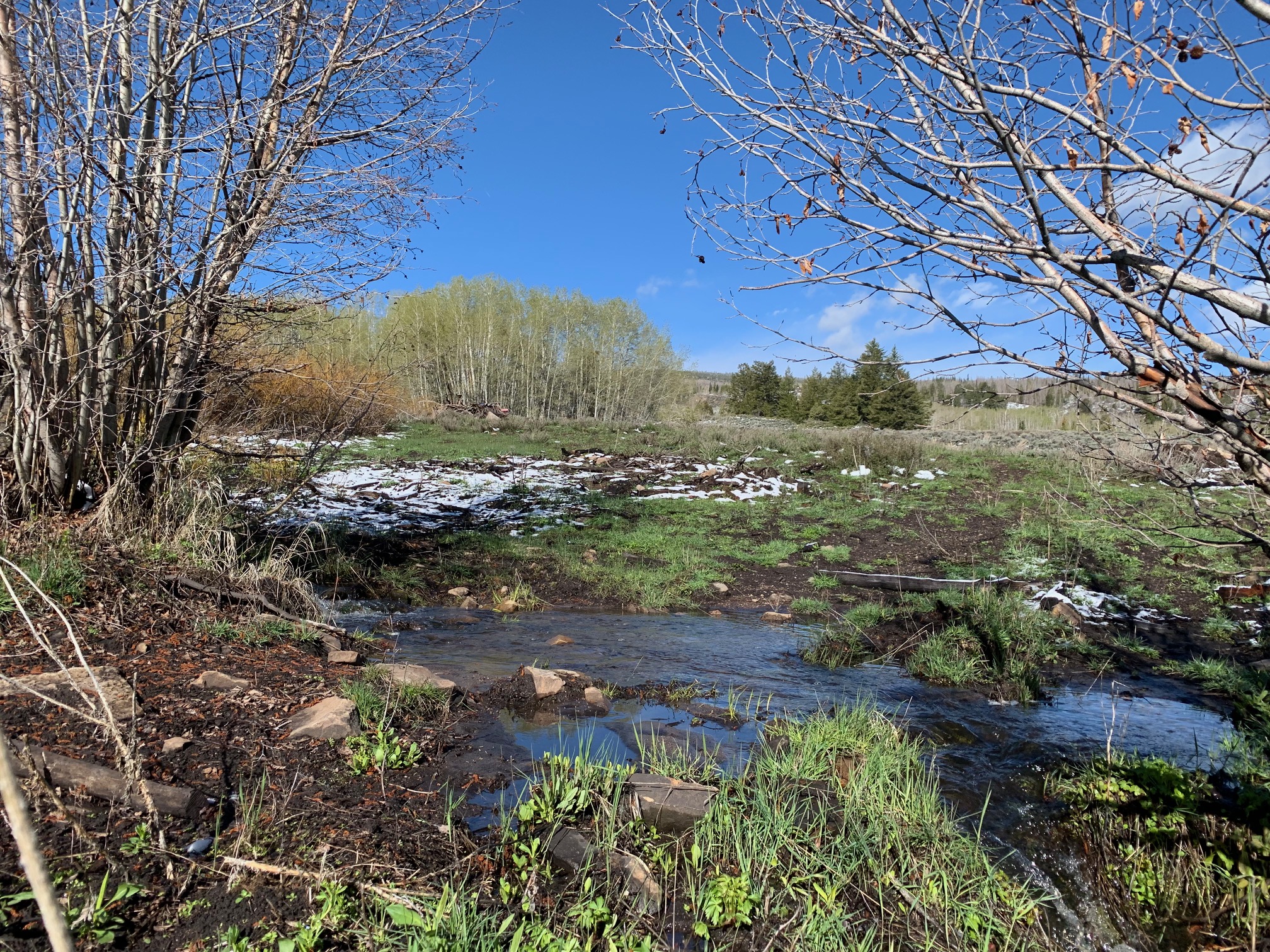 857 County Road 1933