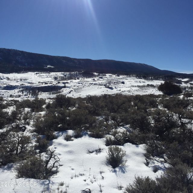 1307 County Road 19