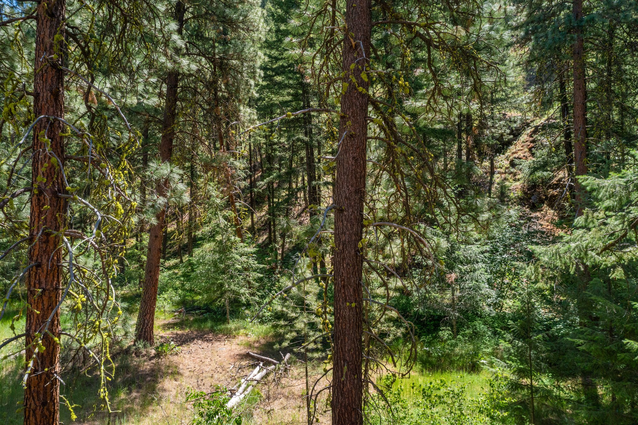 0 Crum Canyon Road