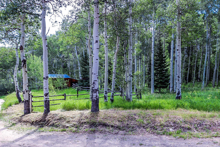114 County Rd 134