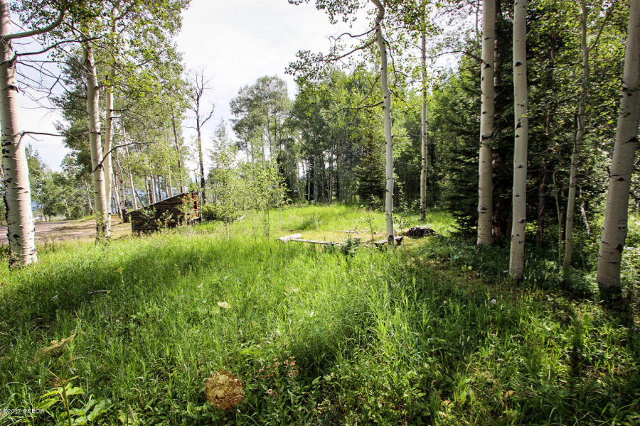 114 County Rd 134