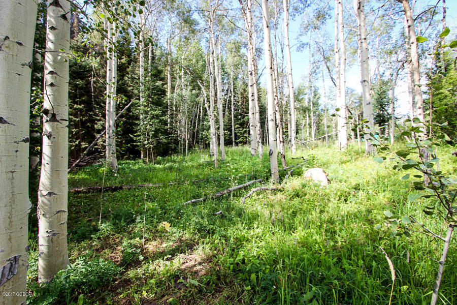 114 County Rd 134