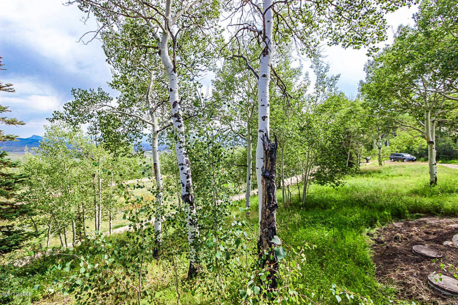 114 County Rd 134