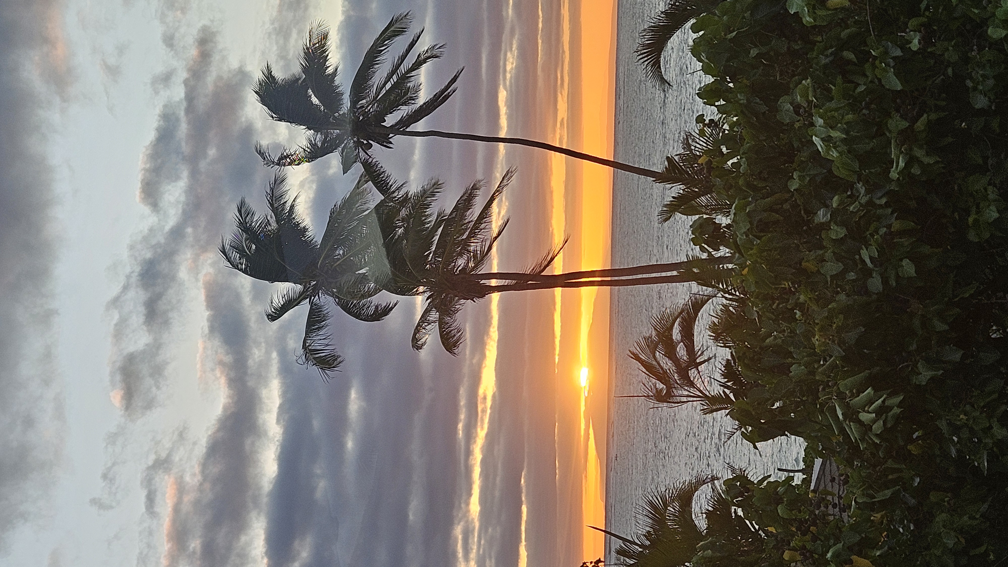 53-837 Kamehameha Highway