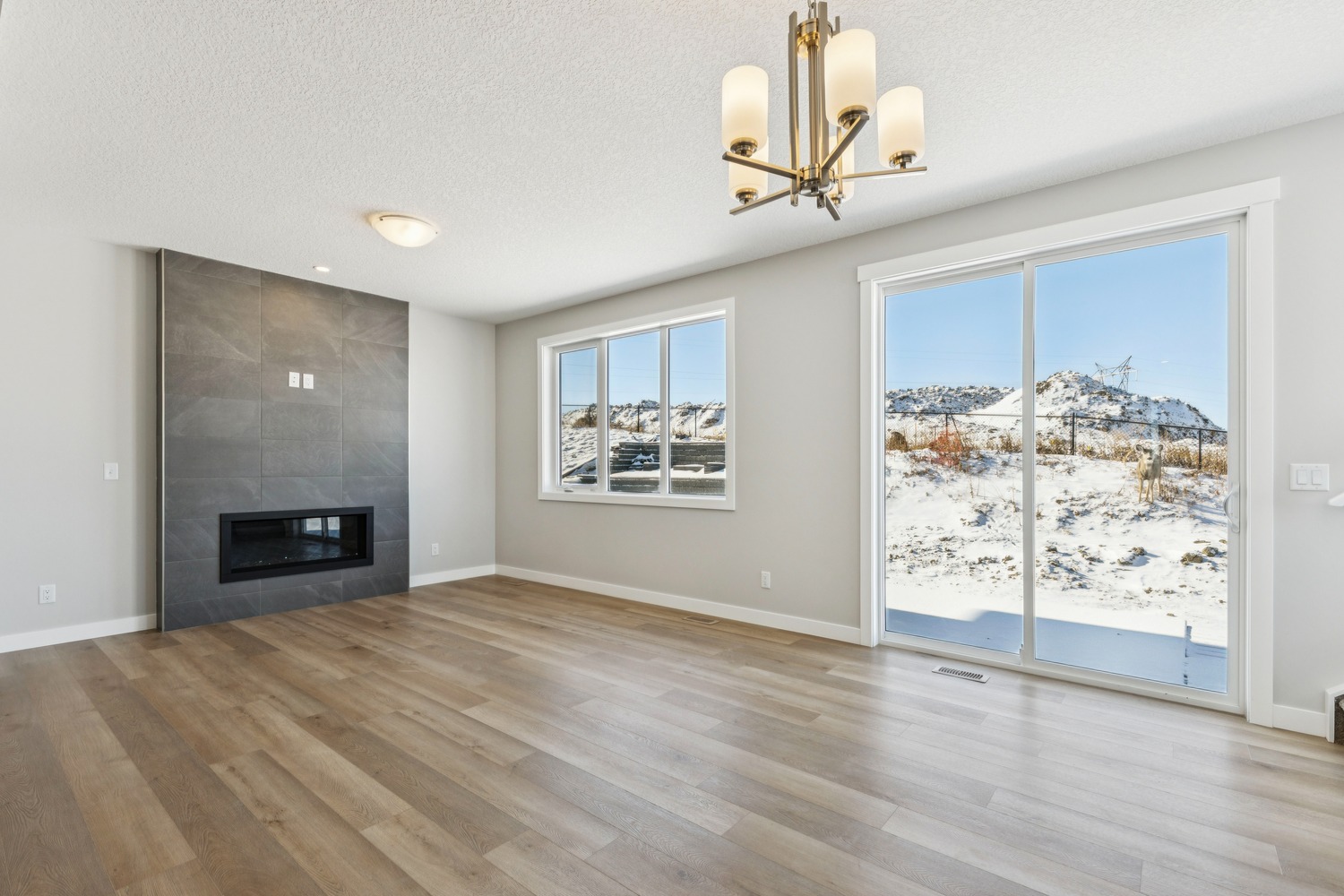 12 Willow Park Point