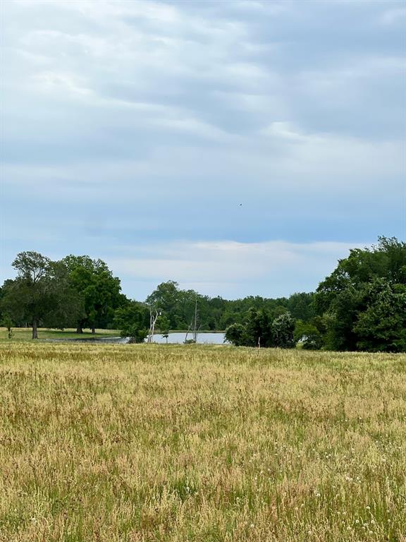 TBD2 Davis Rd